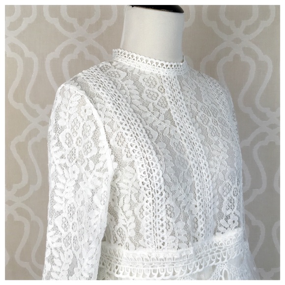 Fancy Lace Peplum Layering Top - Picture 6 of 8